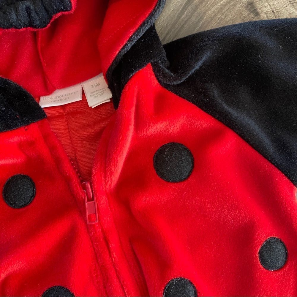 First Moments Lady Bug Outfit / Costume size 3/6 months - Picture 5 of 11